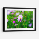 CHAPULÍN - MICHEL ARCIGA LIFESTYLE PHOTOGRAPHY | Cuadro decorativo de Canvas Lab