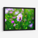 CHAPULÍN - MICHEL ARCIGA LIFESTYLE PHOTOGRAPHY | Cuadro decorativo de Canvas Lab