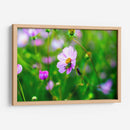 CHAPULÍN - MICHEL ARCIGA LIFESTYLE PHOTOGRAPHY | Cuadro decorativo de Canvas Lab