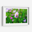 CHAPULÍN - MICHEL ARCIGA LIFESTYLE PHOTOGRAPHY | Cuadro decorativo de Canvas Lab