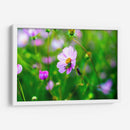 CHAPULÍN - MICHEL ARCIGA LIFESTYLE PHOTOGRAPHY | Cuadro decorativo de Canvas Lab