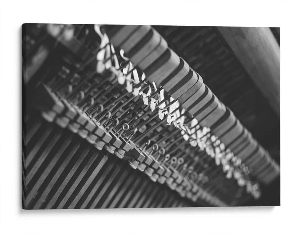 COJINETES - MICHEL ARCIGA LIFESTYLE PHOTOGRAPHY | Cuadro decorativo de Canvas Lab