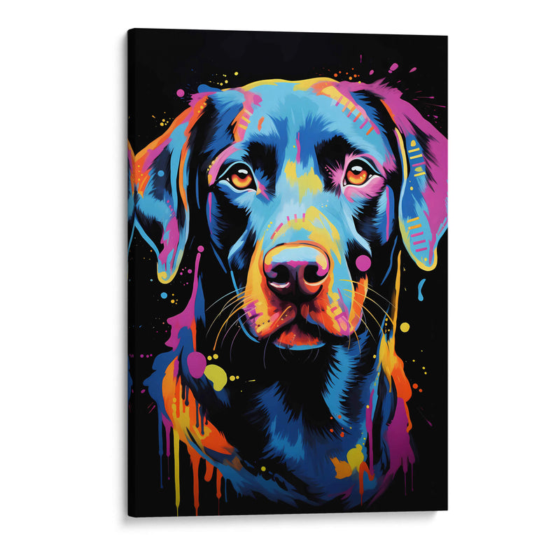 Perro - Dominico Zafri | Cuadro decorativo de Canvas Lab