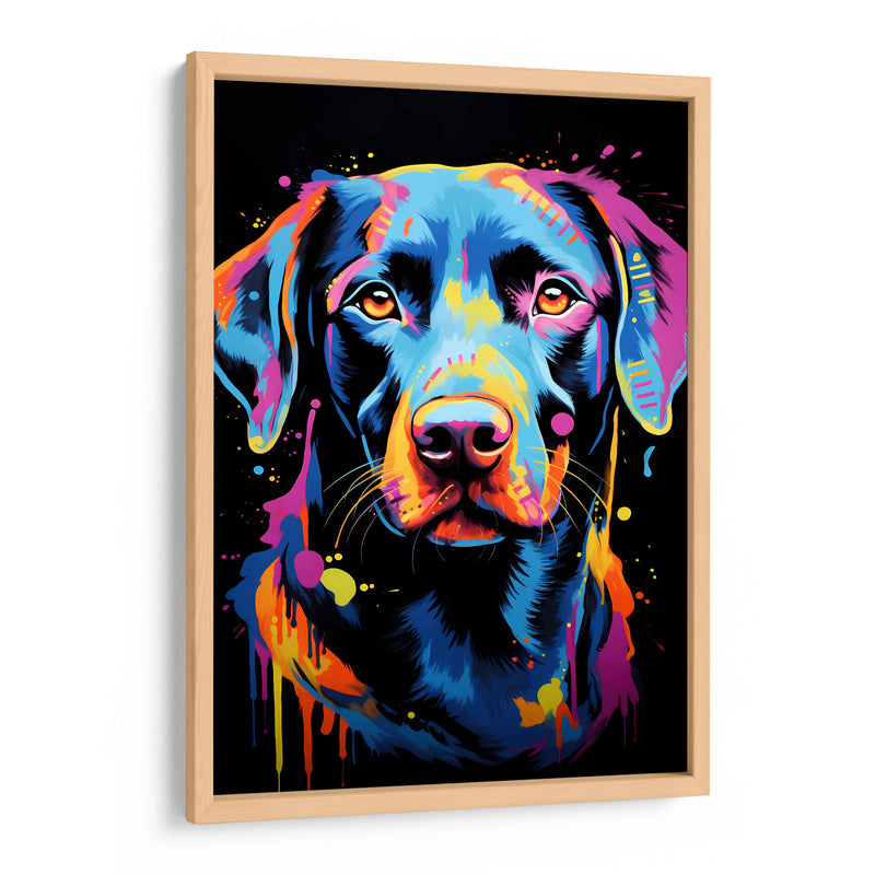 Perro - Dominico Zafri | Cuadro decorativo de Canvas Lab