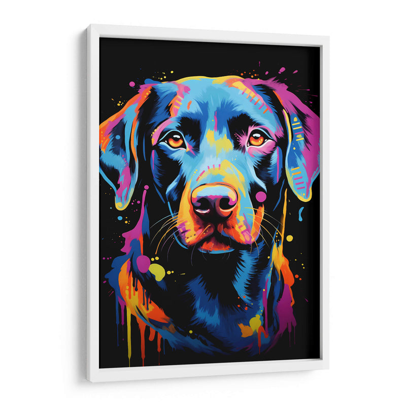 Perro - Dominico Zafri | Cuadro decorativo de Canvas Lab