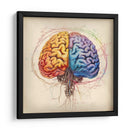 Sketch Del Cerebro - Dominico Zafri | Cuadro decorativo de Canvas Lab