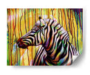Zebra de colores | Cuadro decorativo de Canvas Lab