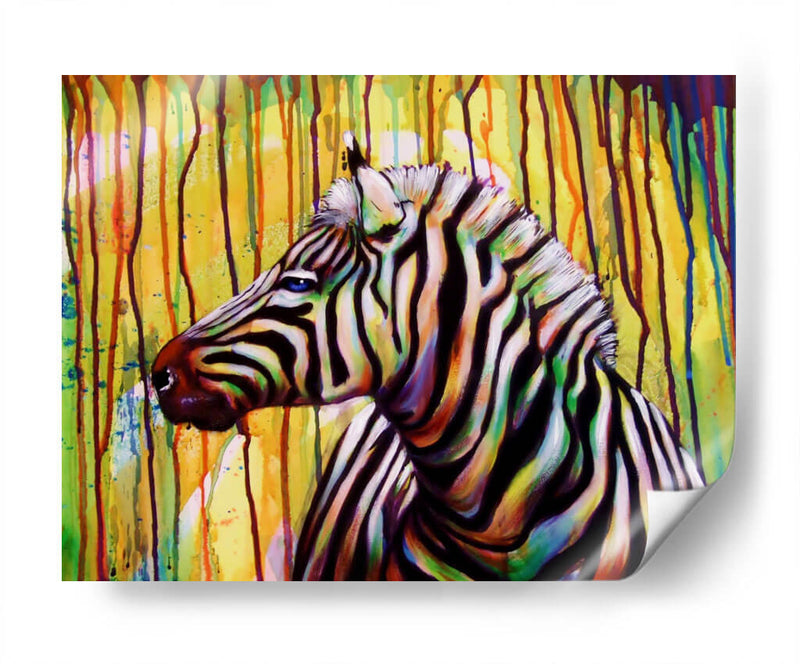 Zebra de colores | Cuadro decorativo de Canvas Lab