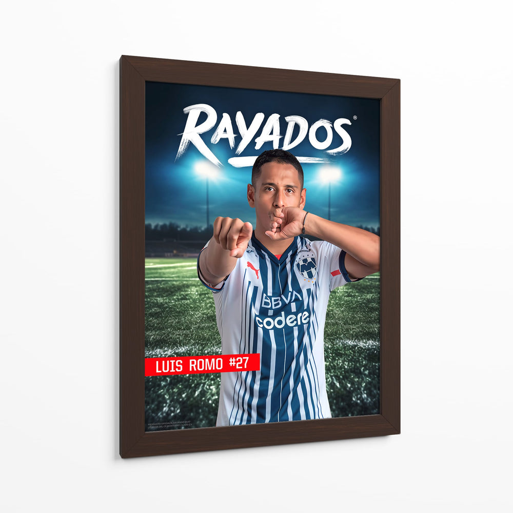 Luis romo v - Rayados | Cuadro decorativo de Canvas Lab