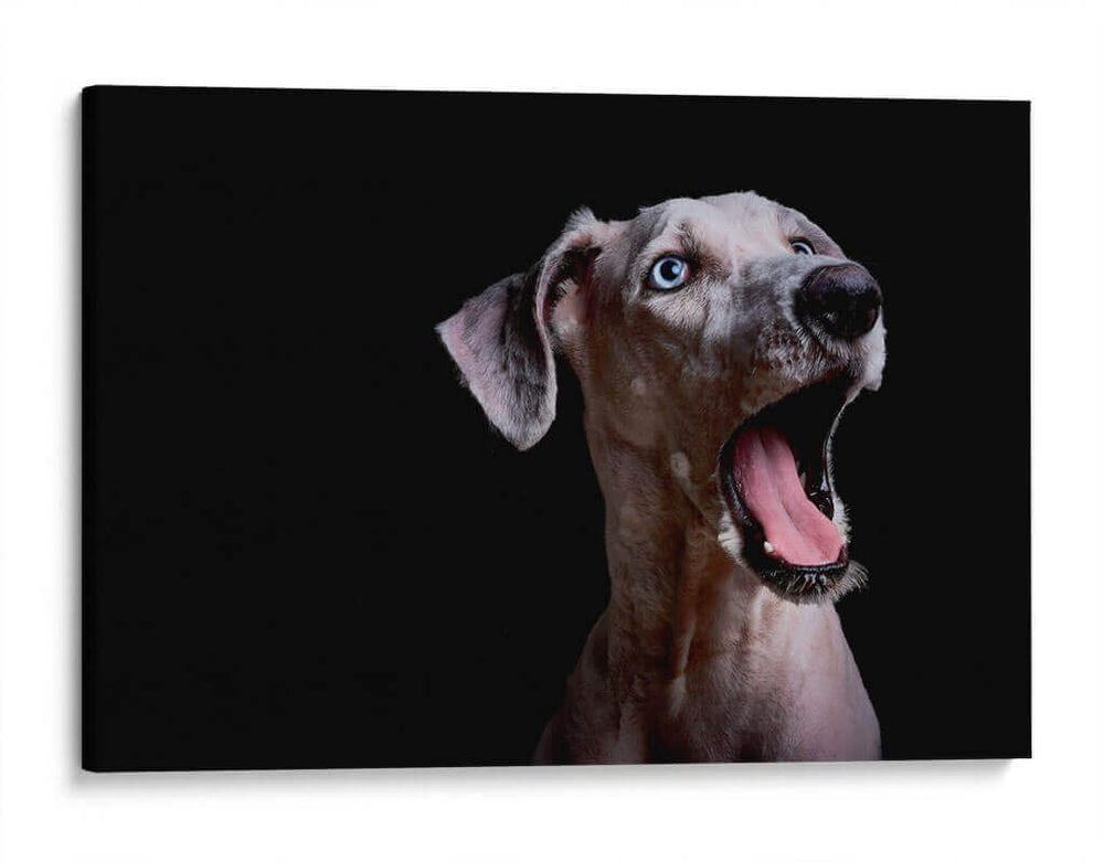 MACA - MICHEL ARCIGA LIFESTYLE PHOTOGRAPHY | Cuadro decorativo de Canvas Lab