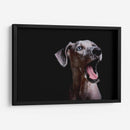 MACA - MICHEL ARCIGA LIFESTYLE PHOTOGRAPHY | Cuadro decorativo de Canvas Lab