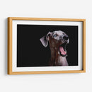 MACA - MICHEL ARCIGA LIFESTYLE PHOTOGRAPHY | Cuadro decorativo de Canvas Lab