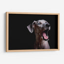 MACA - MICHEL ARCIGA LIFESTYLE PHOTOGRAPHY | Cuadro decorativo de Canvas Lab