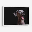 MACA - MICHEL ARCIGA LIFESTYLE PHOTOGRAPHY | Cuadro decorativo de Canvas Lab