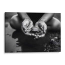 Tortuga - Juliana Estrada | Cuadro decorativo de Canvas Lab