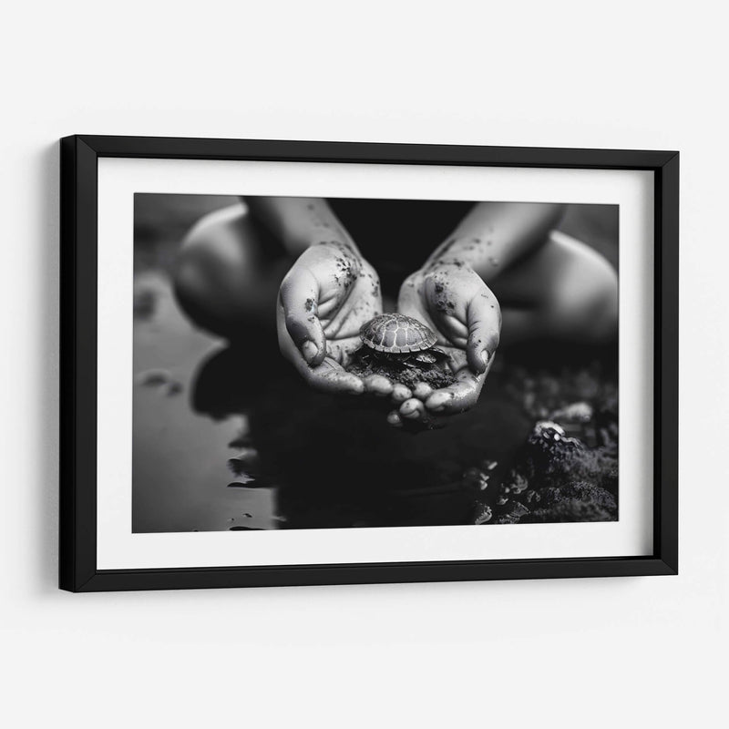 Tortuga - Juliana Estrada | Cuadro decorativo de Canvas Lab