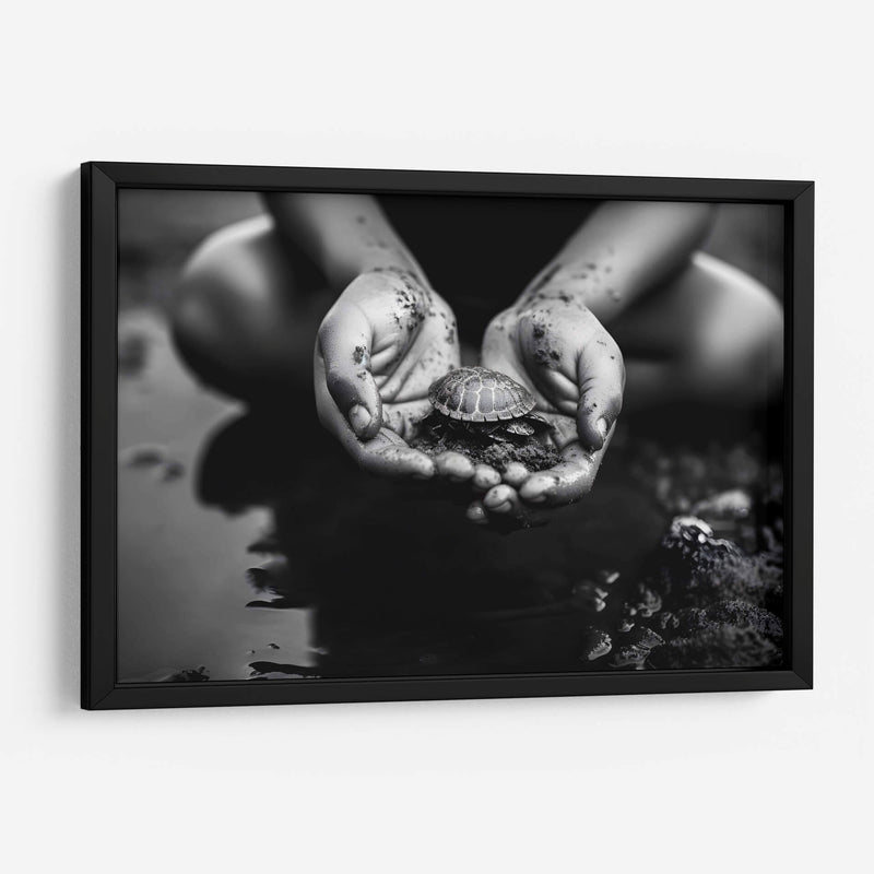 Tortuga - Juliana Estrada | Cuadro decorativo de Canvas Lab