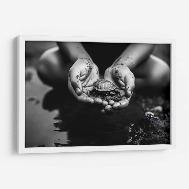 Tortuga - Juliana Estrada | Cuadro decorativo de Canvas Lab