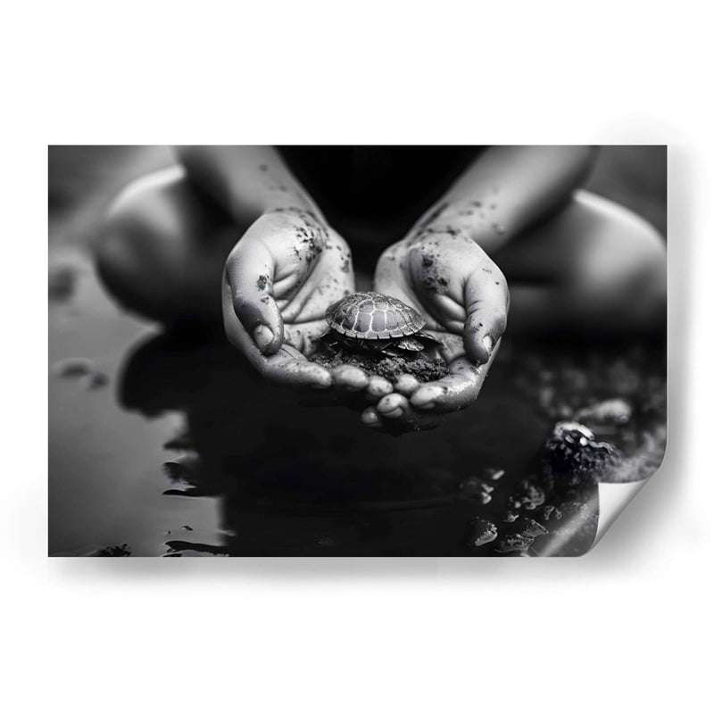 Tortuga - Juliana Estrada | Cuadro decorativo de Canvas Lab