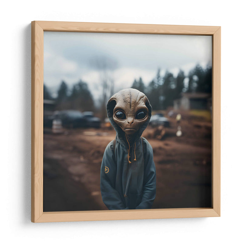 Extraterrestre - The Unlikely Astronaut | Cuadro decorativo de Canvas Lab