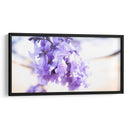 JACARANDA  PRIMERA - Zuriel Halal | Cuadro decorativo de Canvas Lab