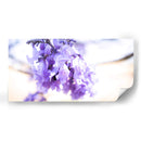 JACARANDA  PRIMERA - Zuriel Halal | Cuadro decorativo de Canvas Lab