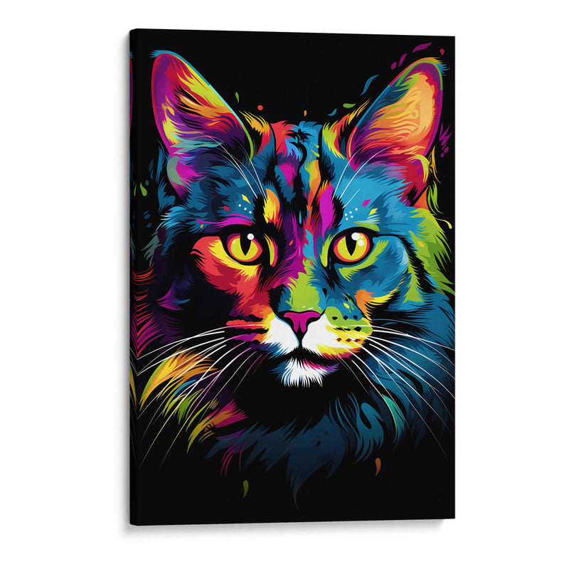 Gato - Dominico Zafri | Cuadro decorativo de Canvas Lab