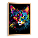 Gato - Dominico Zafri | Cuadro decorativo de Canvas Lab