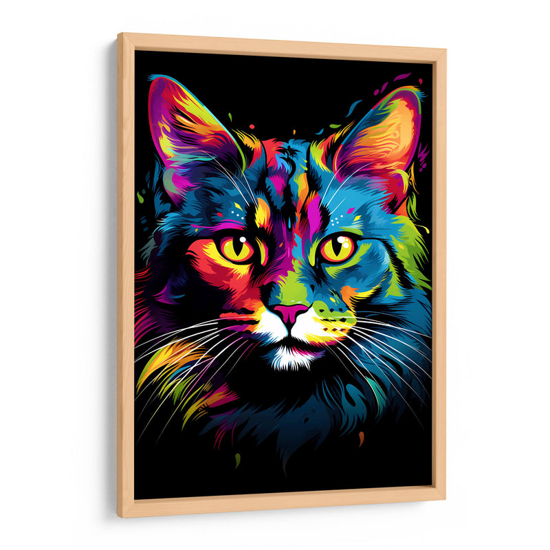 Gato - Dominico Zafri | Cuadro decorativo de Canvas Lab