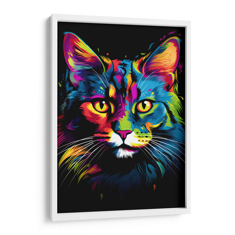 Gato - Dominico Zafri | Cuadro decorativo de Canvas Lab