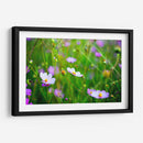 POLINIZADORA - MICHEL ARCIGA LIFESTYLE PHOTOGRAPHY | Cuadro decorativo de Canvas Lab