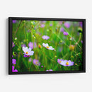 POLINIZADORA - MICHEL ARCIGA LIFESTYLE PHOTOGRAPHY | Cuadro decorativo de Canvas Lab