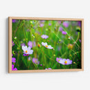 POLINIZADORA - MICHEL ARCIGA LIFESTYLE PHOTOGRAPHY | Cuadro decorativo de Canvas Lab