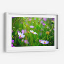 POLINIZADORA - MICHEL ARCIGA LIFESTYLE PHOTOGRAPHY | Cuadro decorativo de Canvas Lab