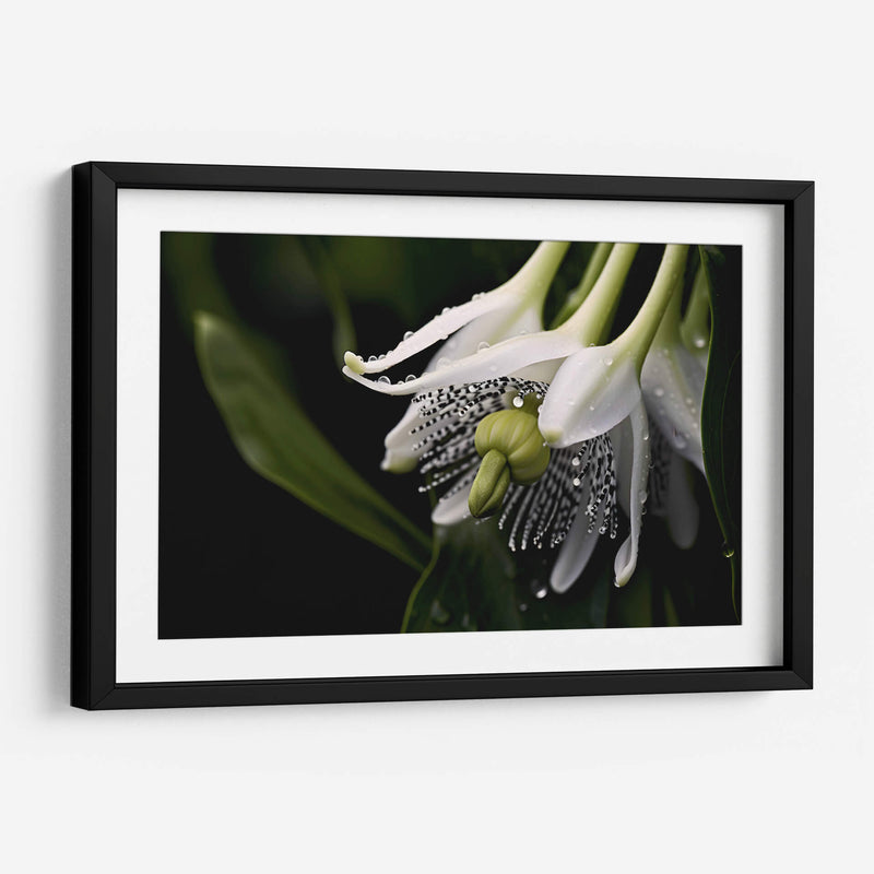 Campanas Rayadas - Juliana Estrada | Cuadro decorativo de Canvas Lab