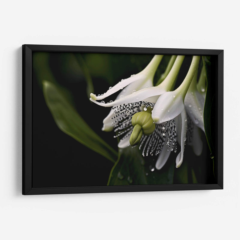 Campanas Rayadas - Juliana Estrada | Cuadro decorativo de Canvas Lab