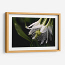 Campanas Rayadas - Juliana Estrada | Cuadro decorativo de Canvas Lab