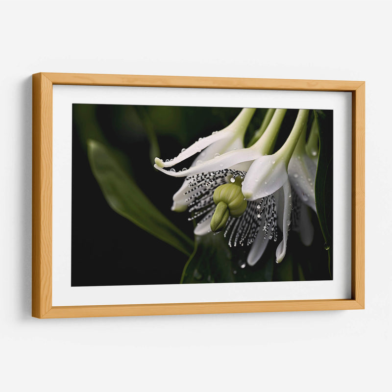 Campanas Rayadas - Juliana Estrada | Cuadro decorativo de Canvas Lab