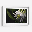 Campanas Rayadas - Juliana Estrada | Cuadro decorativo de Canvas Lab