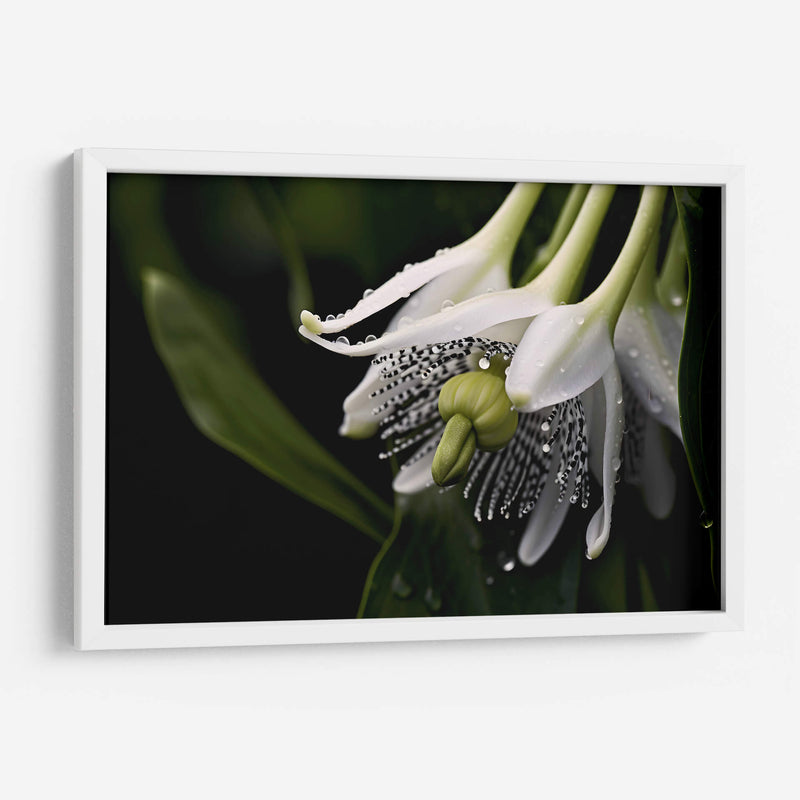 Campanas Rayadas - Juliana Estrada | Cuadro decorativo de Canvas Lab