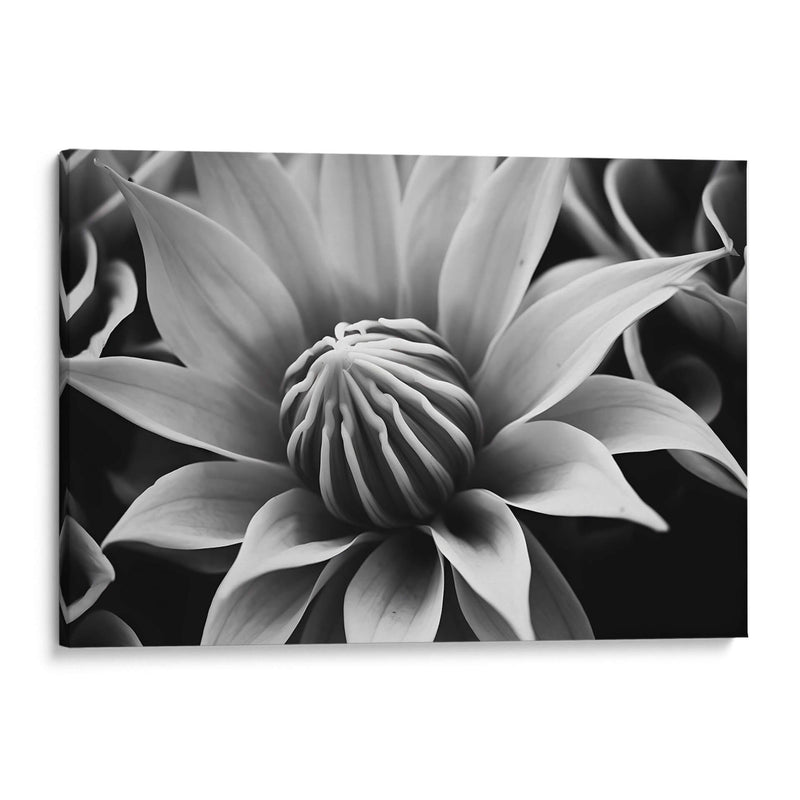 Capullo - Juliana Estrada | Cuadro decorativo de Canvas Lab