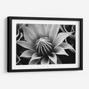 Capullo - Juliana Estrada | Cuadro decorativo de Canvas Lab