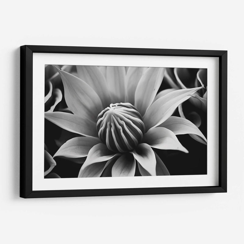 Capullo - Juliana Estrada | Cuadro decorativo de Canvas Lab