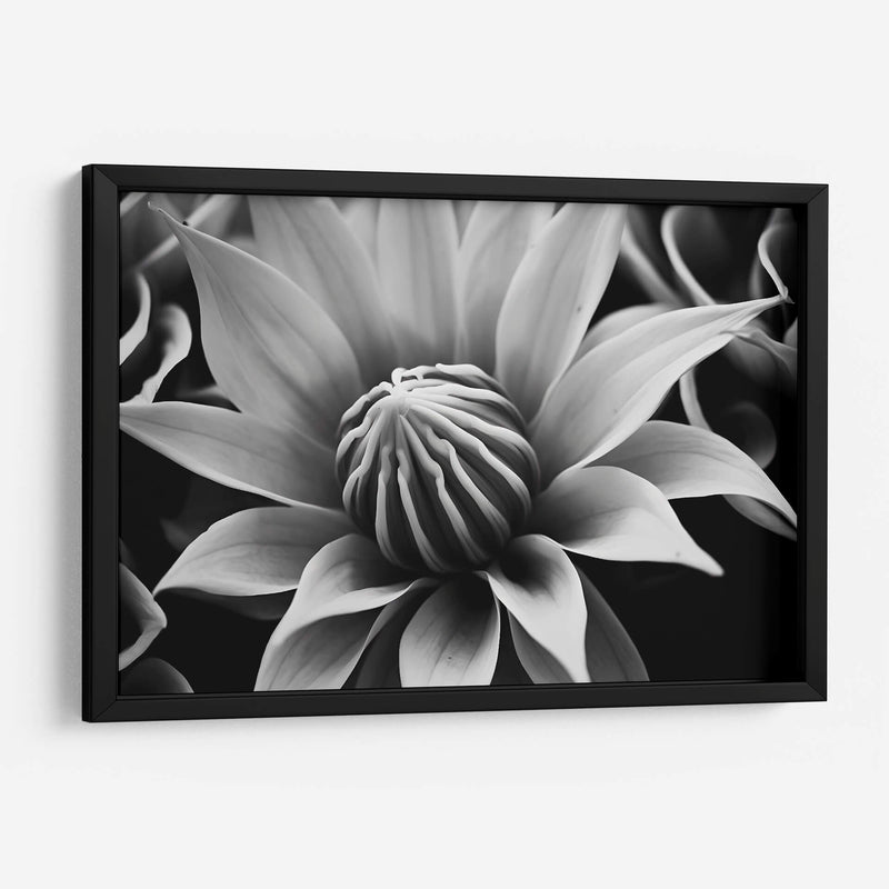 Capullo - Juliana Estrada | Cuadro decorativo de Canvas Lab