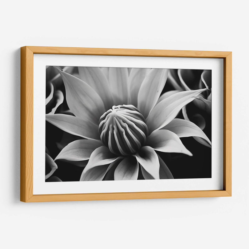 Capullo - Juliana Estrada | Cuadro decorativo de Canvas Lab