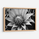 Capullo - Juliana Estrada | Cuadro decorativo de Canvas Lab