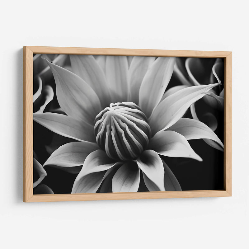 Capullo - Juliana Estrada | Cuadro decorativo de Canvas Lab