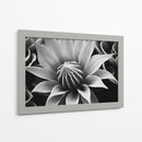Capullo - Juliana Estrada | Cuadro decorativo de Canvas Lab
