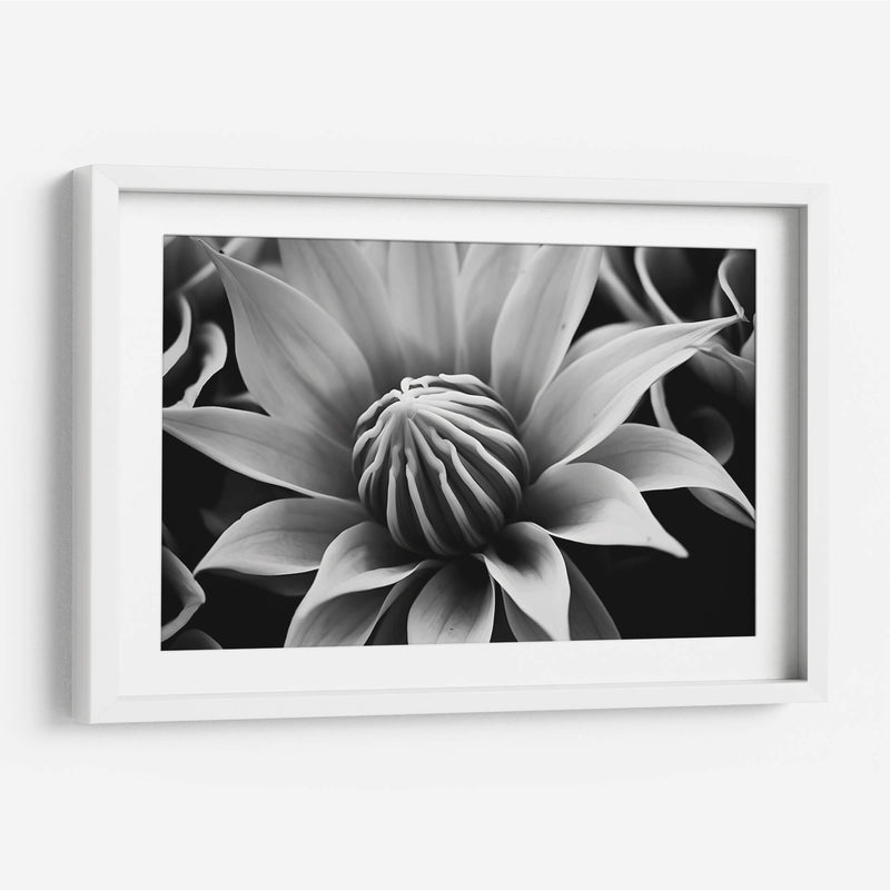 Capullo - Juliana Estrada | Cuadro decorativo de Canvas Lab