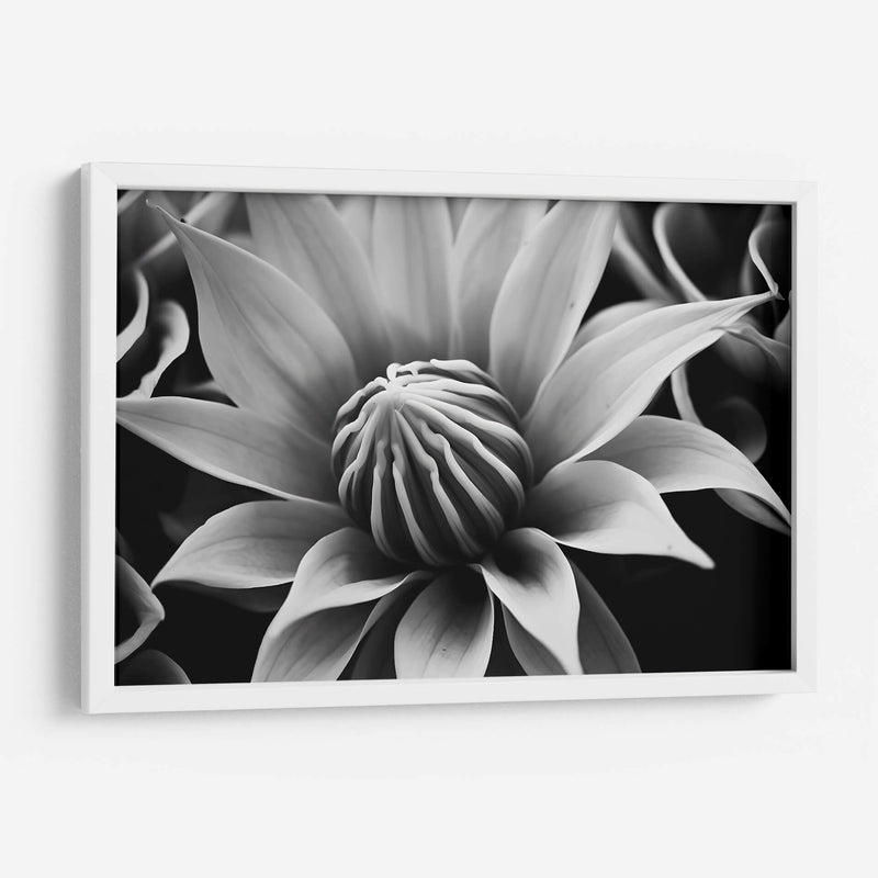 Capullo - Juliana Estrada | Cuadro decorativo de Canvas Lab